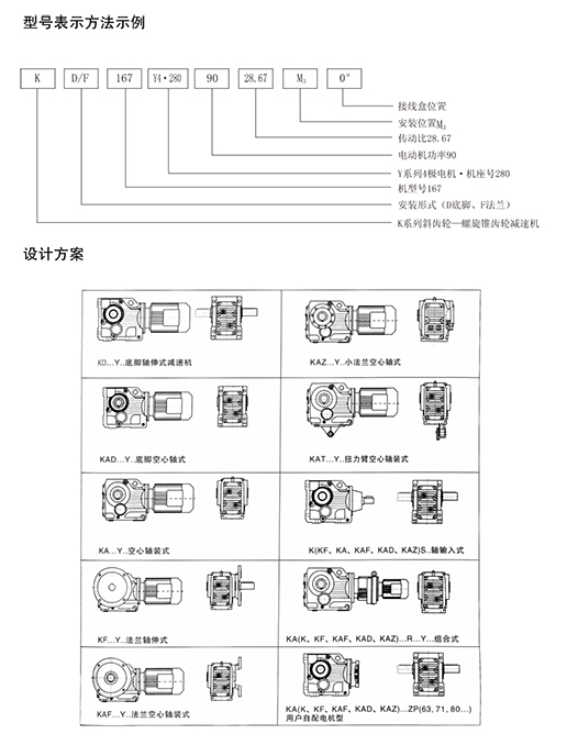 牛牛·现金